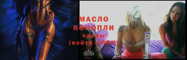 дмт Вяземский