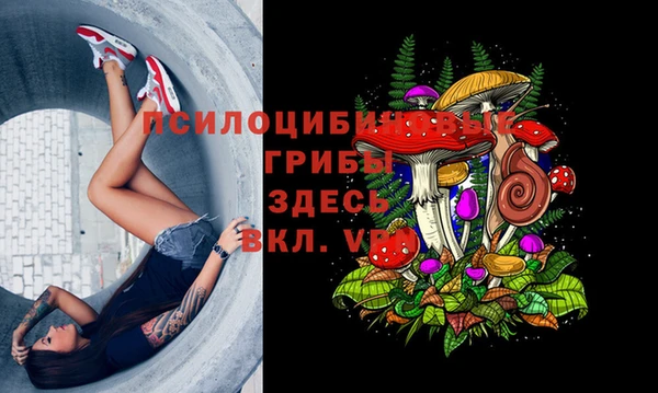 дмт Вяземский