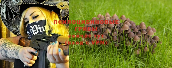 трава Вязники