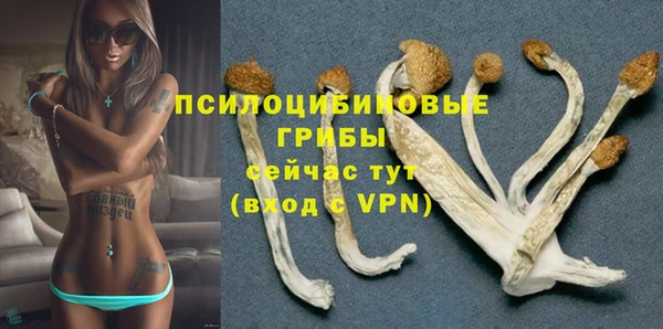 трава Вязники